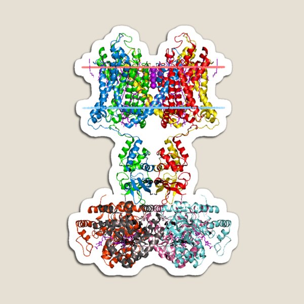 Molecular Structure of Ion Channels Magnet