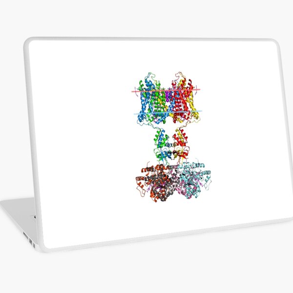 Molecular Structure of Ion Channels Laptop Skin