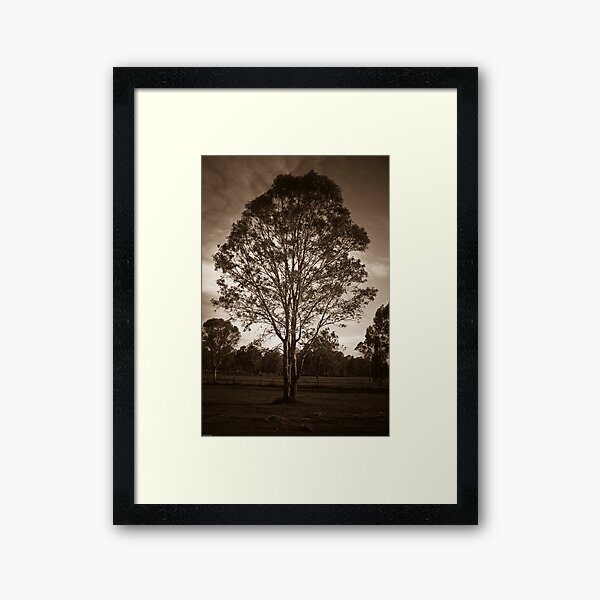 Item preview, The lonely tree designed and sold by David Petranker.