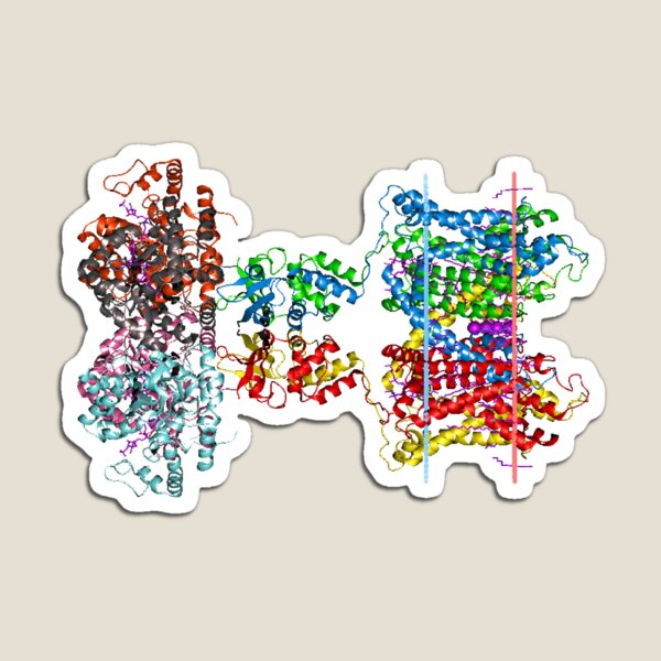 Molecular Structure of Ion Channels, #Molecular, #Structure, #Ion, #Channels, #MolecularStructure, #IonChannels, #IonChannelMolecularStructure, #IonChannel Magnet