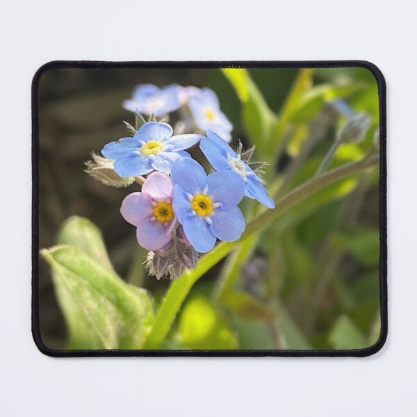 Item preview, Forget Me Not Cluster designed and sold by SkylilyWolf.