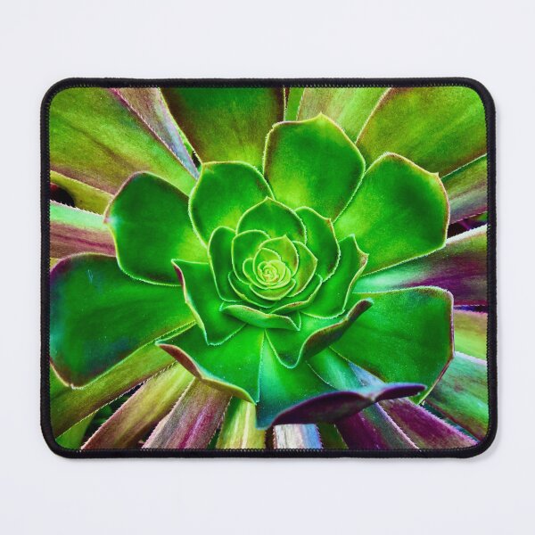 Item preview, Purple and Green Succulent Splendor designed and sold by MelanieReiff.