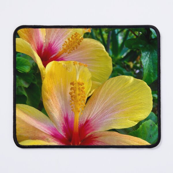 Item preview, Sunshine in Bloom designed and sold by MelanieReiff.