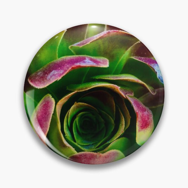 Item preview, Cyclical Succulents  designed and sold by MelanieReiff.