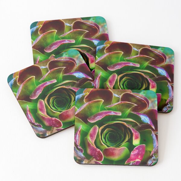 Item preview, Cyclical Succulents  designed and sold by MelanieReiff.