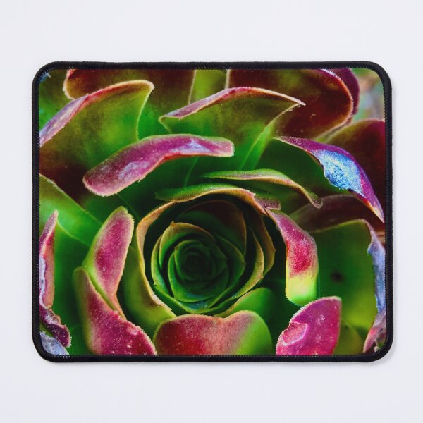 Item preview, Cyclical Succulents  designed and sold by MelanieReiff.