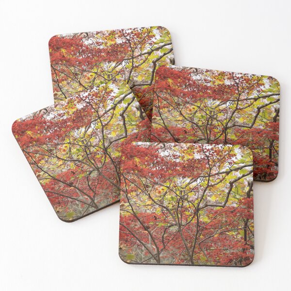 Item preview, Mount Wilson NSW - Autumn 2023 #01 designed and sold by Salieri1627.