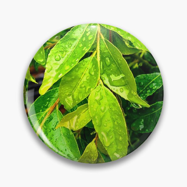 Item preview, Curry Leaves designed and sold by thoratsdesign.