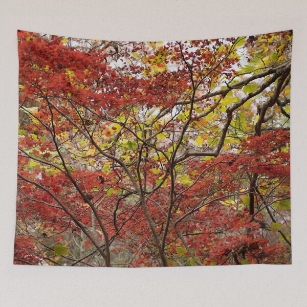 Item preview, Mount Wilson NSW - Autumn 2023 #01 designed and sold by Salieri1627.