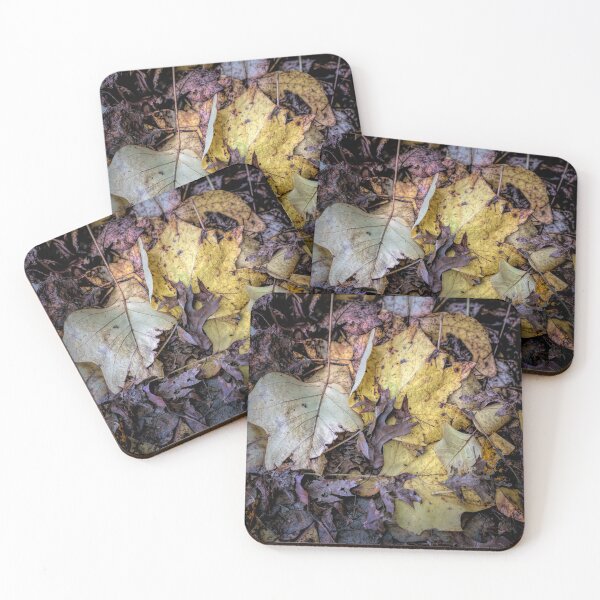 Item preview, Mt Wilson - Autumn 2023 - Falling leaves #4 designed and sold by Salieri1627.