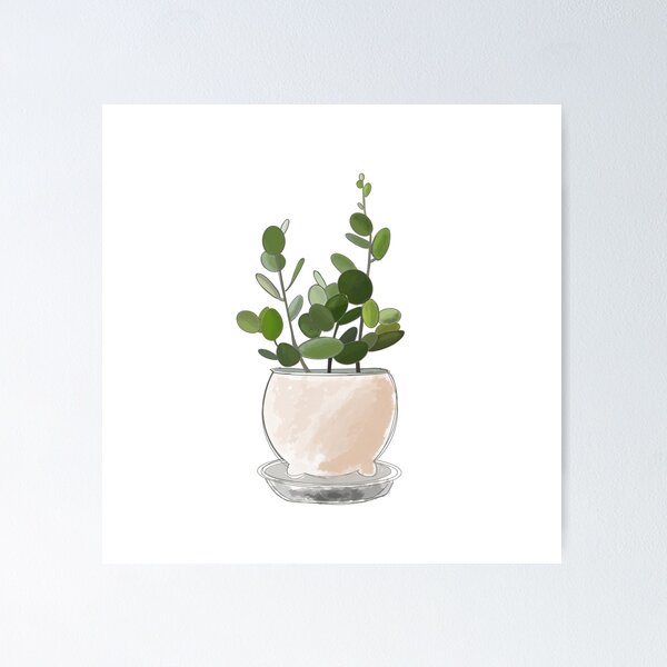 Item preview, Silver Dollar Plant designed and sold by TammyE92.