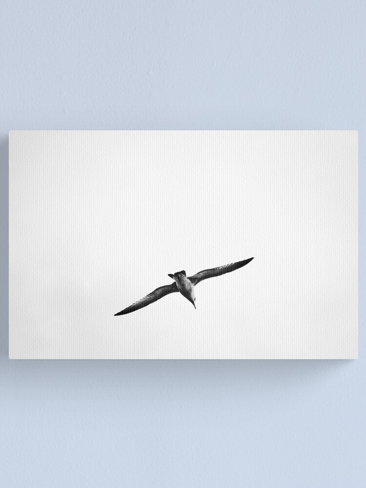 Alternate view of Seagull Canvas Print