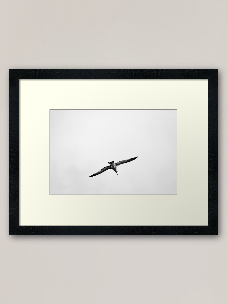 Alternate view of Seagull Framed Art Print