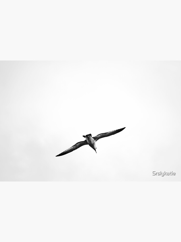 Seagull by Srslykatie