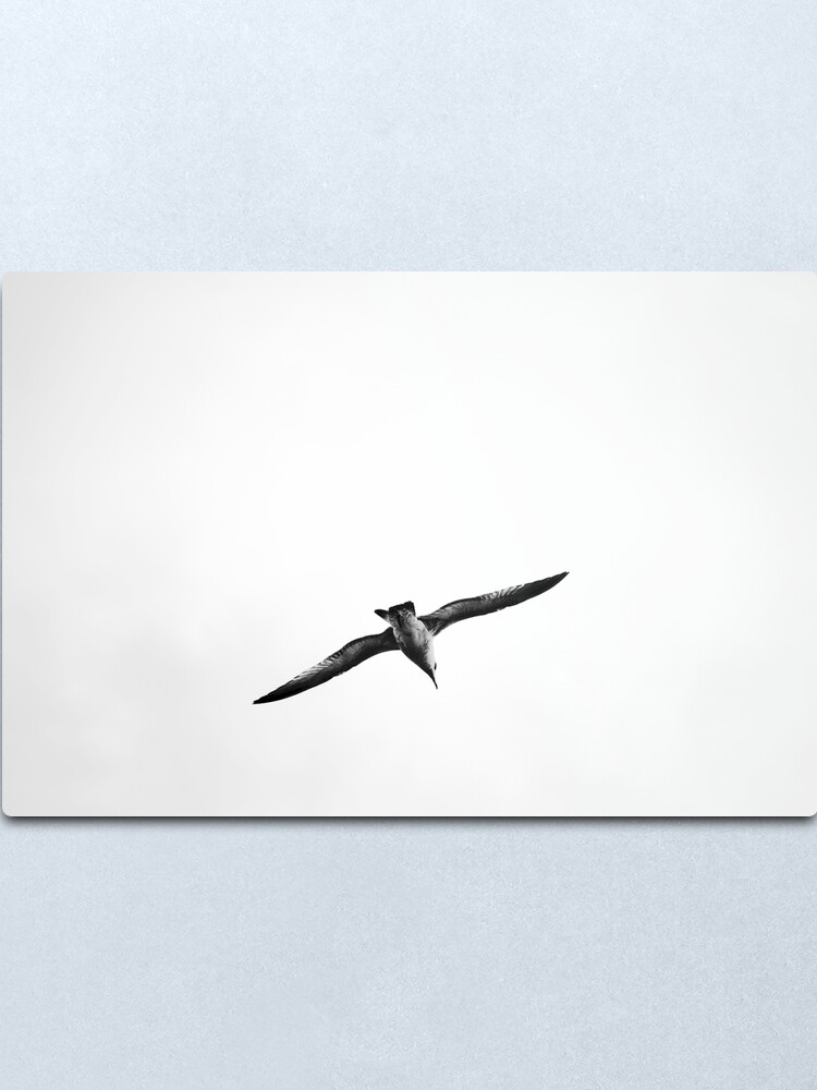Alternate view of Seagull Metal Print