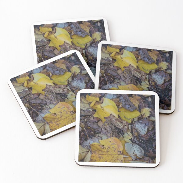 Item preview, Mt Wilson - Autumn 2023 - Falling leaves #3 designed and sold by Salieri1627.