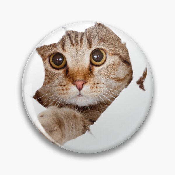 Aperçu de l'œuvre CHAT créée et vendue par Unik Store.