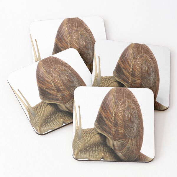 Item preview, American brown snail crawling designed and sold by LeonCr832.