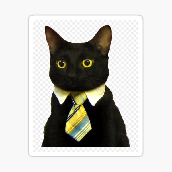 black cat tie
