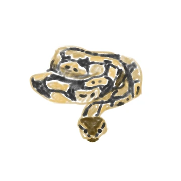 Artwork thumbnail, Burmese Python by ToZoodle