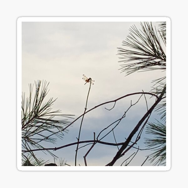 Dragonfly on a Branch Sticker