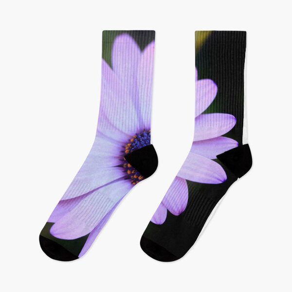 Item preview, Colorful spring flower in garden designed and sold by olena2552.