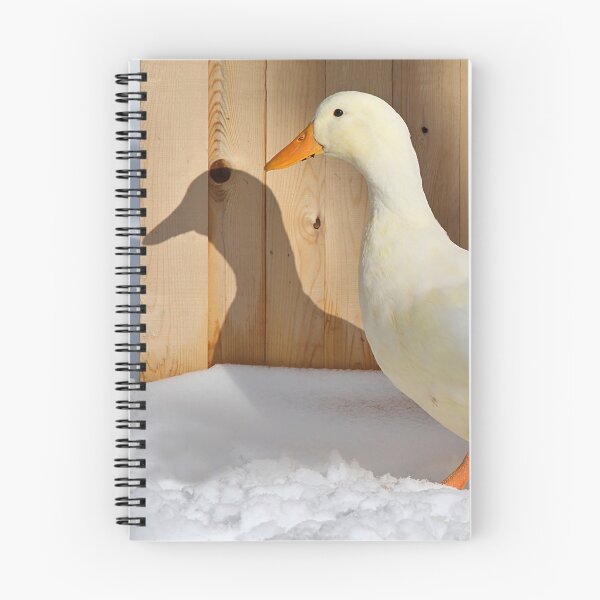 Item preview, Pekin duck and his shadow designed and sold by Linda Crockett.