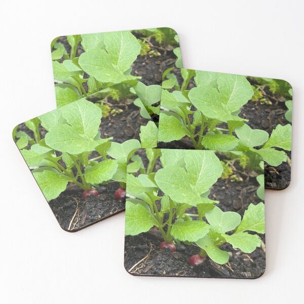 Item preview, Radishes in the garden designed and sold by AlpacaSparkles.