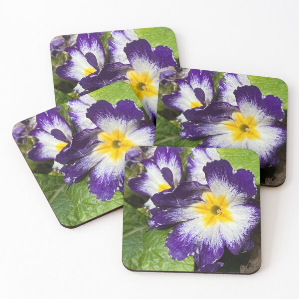 Item preview, Blue white yellow primula designed and sold by AlpacaSparkles.