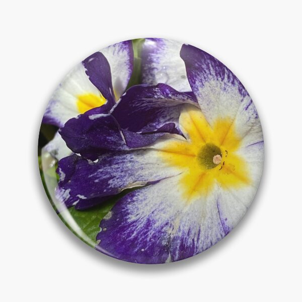Item preview, Blue white yellow primula designed and sold by AlpacaSparkles.