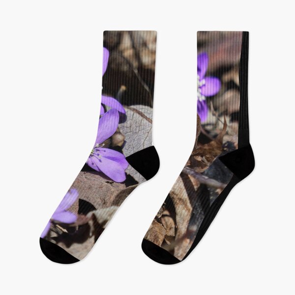 Item preview, Rising from the dead leaves. Hepatica designed and sold by Jouko Lehto Photography.