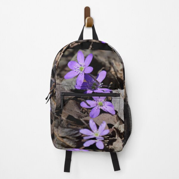 Item preview, Rising from the dead leaves. Hepatica designed and sold by Jouko Lehto Photography.