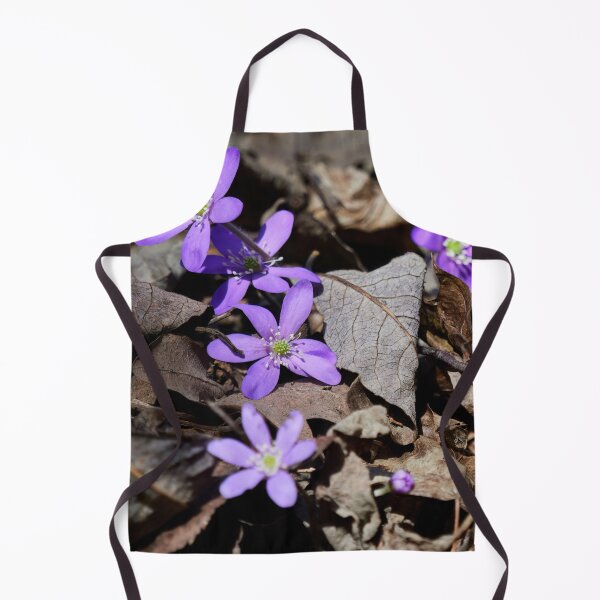Item preview, Rising from the dead leaves. Hepatica designed and sold by Jouko Lehto Photography.