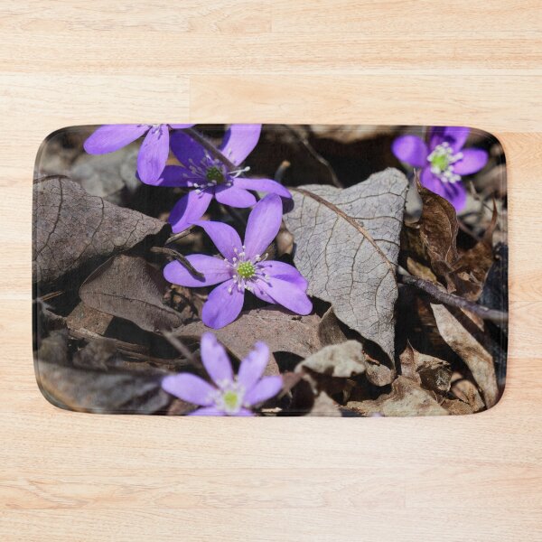 Item preview, Rising from the dead leaves. Hepatica designed and sold by Jouko Lehto Photography.