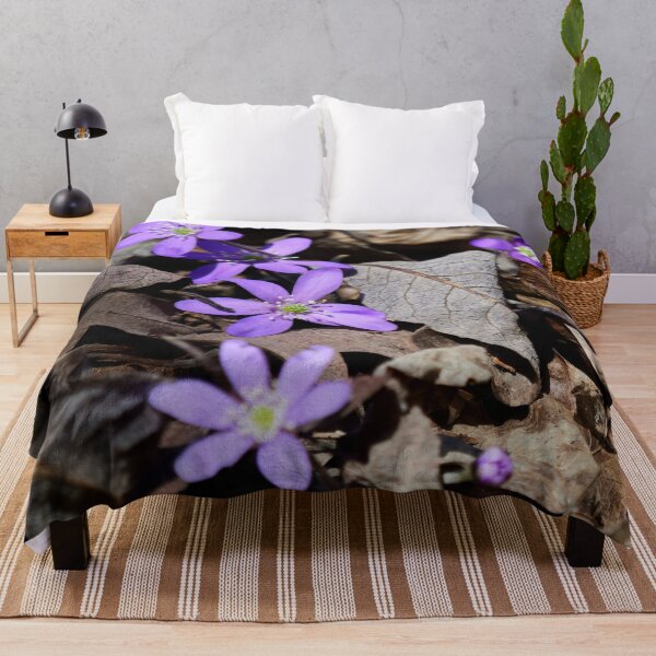 Item preview, Rising from the dead leaves. Hepatica designed and sold by Jouko Lehto Photography.