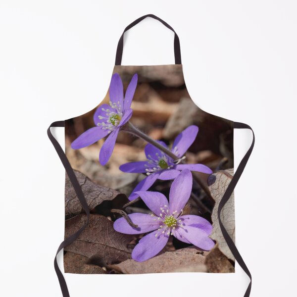Item preview, Purple and brown. Hepatica designed and sold by Jouko Lehto Photography.