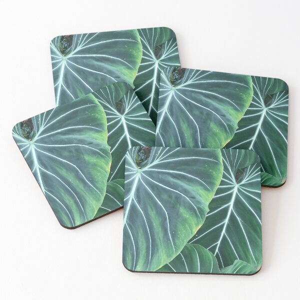 Item preview, Elephant Ears designed and sold by plumita84.
