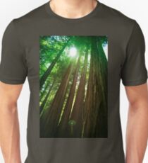 Redwood Trees Unisex T-Shirt