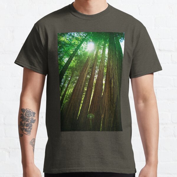 Redwood Trees Classic T-Shirt