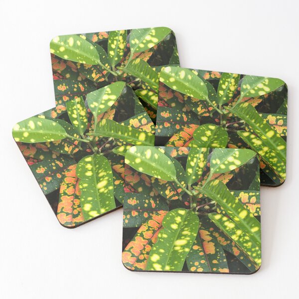 Item preview, Plant designed and sold by plumita84.