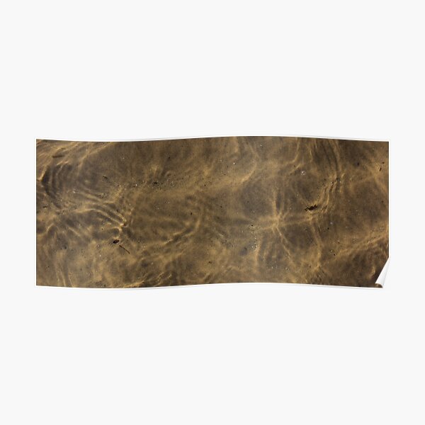 Sunlight Patterns in Water on the Beach Mug Poster