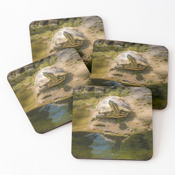 Item preview, Turtle Enjoying the Sunshine designed and sold by Debra Martz.