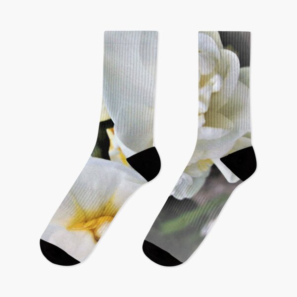 Item preview, Small White Daffodils designed and sold by Scott and Mary Schneider art_photography.