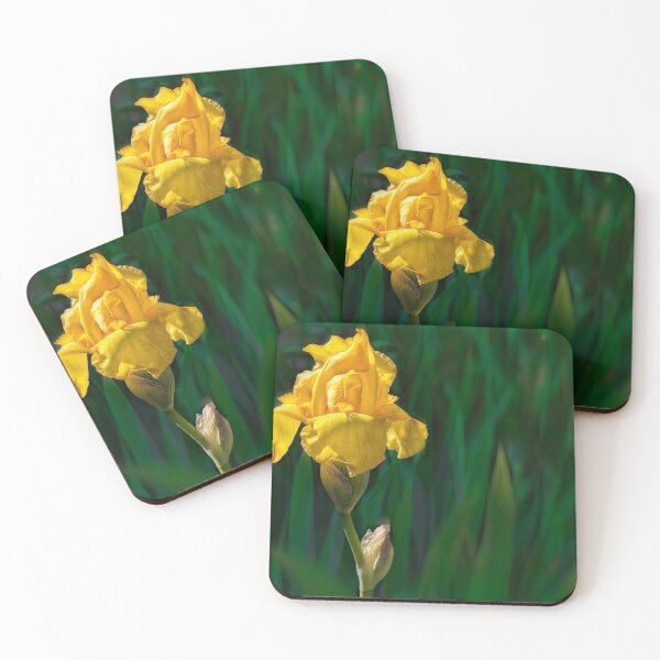 Item preview, Yellow Iris photograph designed and sold by art64.