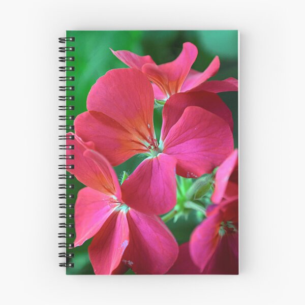 Item preview, Dependable designed and sold by seventySIXart&photo .