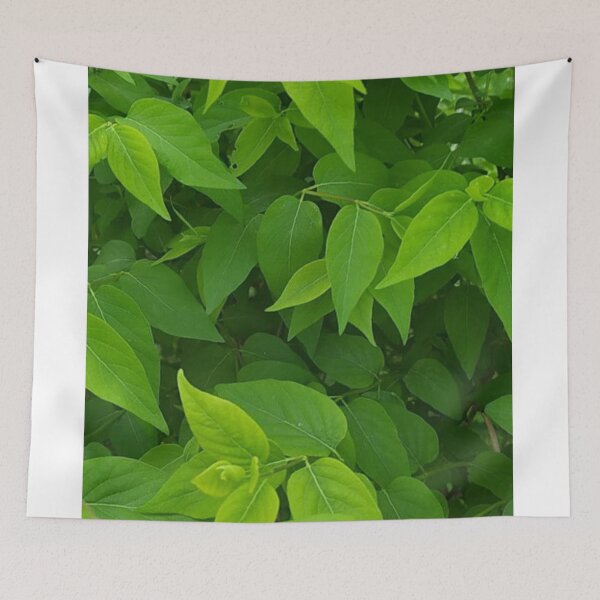 Item preview, Lush Leaves designed and sold by Printforluck.