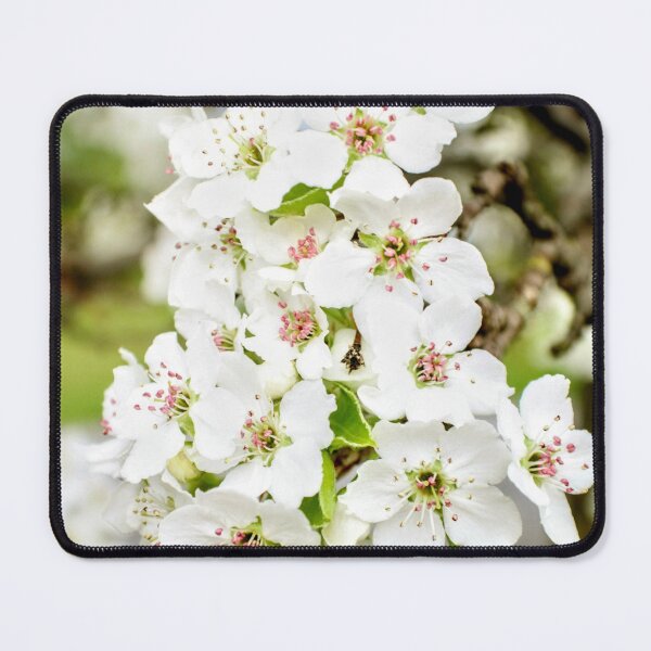 Item preview, FULL BLOOM designed and sold by PPerspectivez.