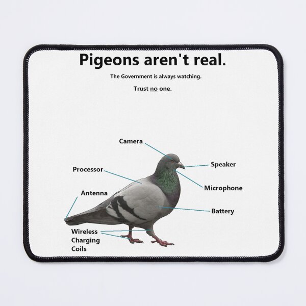 Item preview, Pigeons arent real; The Government is always watching designed and sold by HayoH.