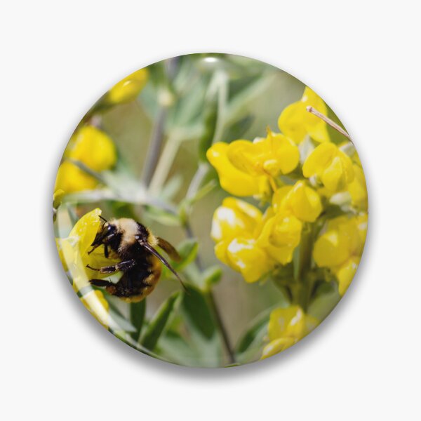 Artikelvorschau, Biene bestäubt eine gelbe Blume entworfen und verkauft von Shizenkai.