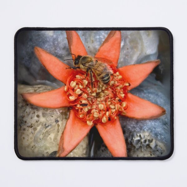 Item preview, Honeybee perched on a red pomegranate flower designed and sold by Katrina Valuyeva.